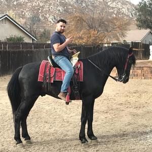 Meet your Posher, Abraham